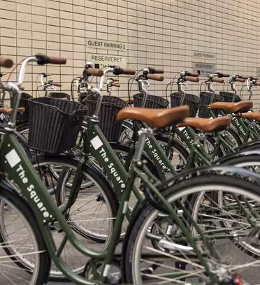 Rader av gröna cyklar med bruna säten och svarta korgar står uppradade framför en kaklad vägg. Cyklarna är parkerade i ett område märkt "Gästparkering.