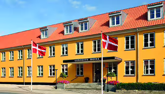 En gul tvåvånings hotellbyggnad med röda takpannor, kantad av takkupor. Två danska flaggor är framme, och en trappa leder till en täckt entré. Ljusa blommor flankerar stegen under en klarblå himmel.