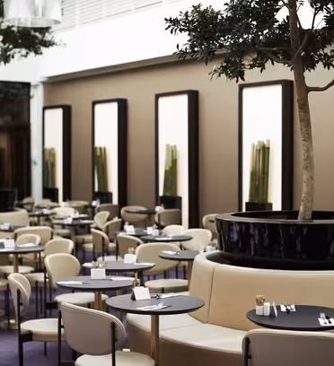 Modern restauranginredning med snygga, runda sittgrupper och runda bord. Stora krukträd är placerade på sittplatsen, med neutrala väggar och höga speglar i bakgrunden. Lila mattor ger en touch av färg till det eleganta utrymmet.