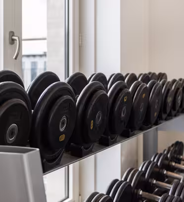 En rad med hantlar snyggt organiserade på ett ställ i ett gym. Gymmet har stora fönster så att naturligt ljus lyser upp utrymmet. En spegel på väggen reflekterar vikterna och en del av rummet.